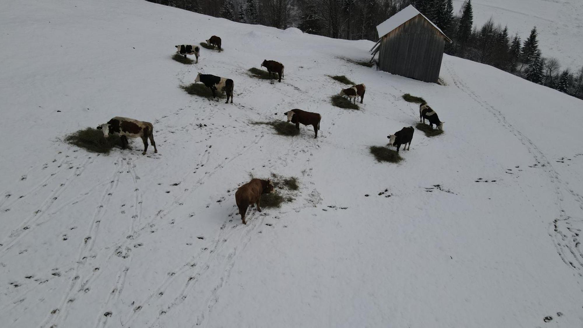 Hotel Casa Agroturistica Tarancuta Din Vatra Moldoviţei Esterno foto
