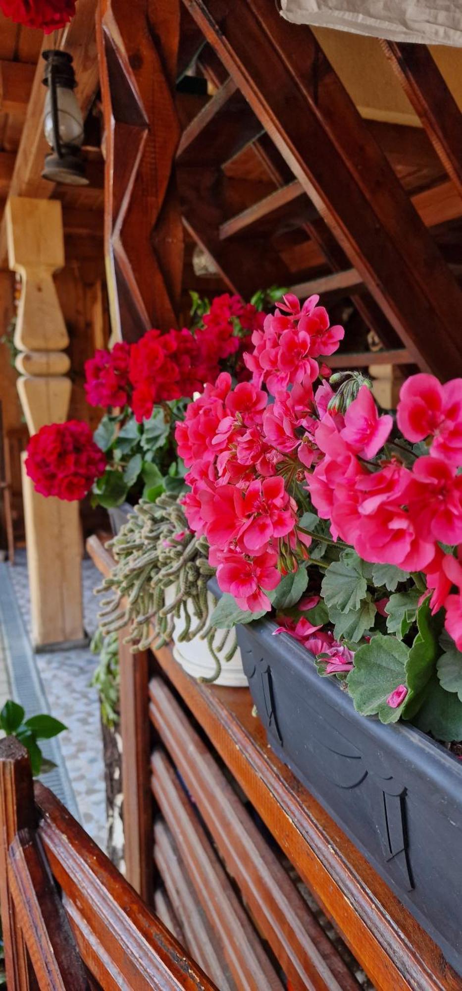 Hotel Casa Agroturistica Tarancuta Din Vatra Moldoviţei Esterno foto
