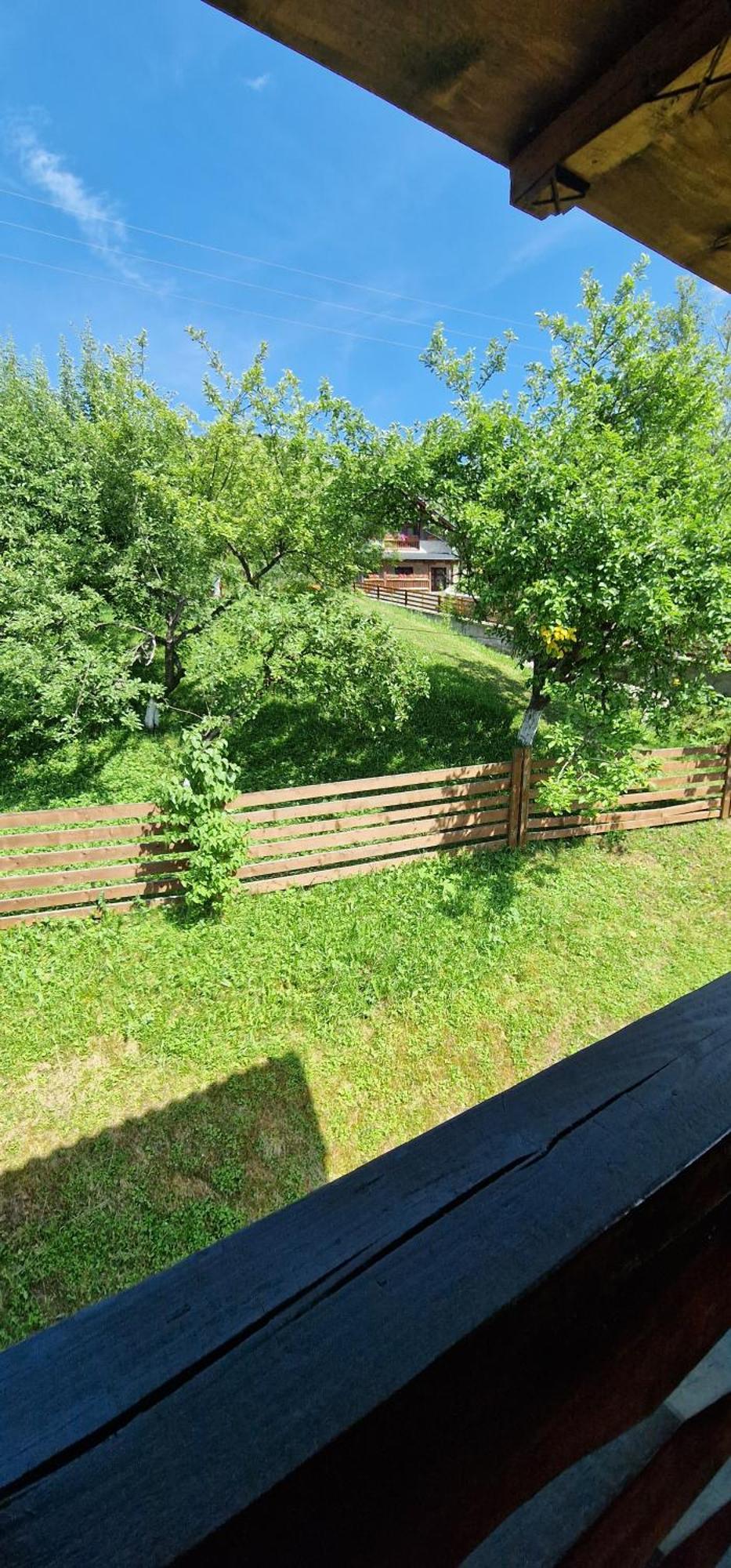 Hotel Casa Agroturistica Tarancuta Din Vatra Moldoviţei Esterno foto