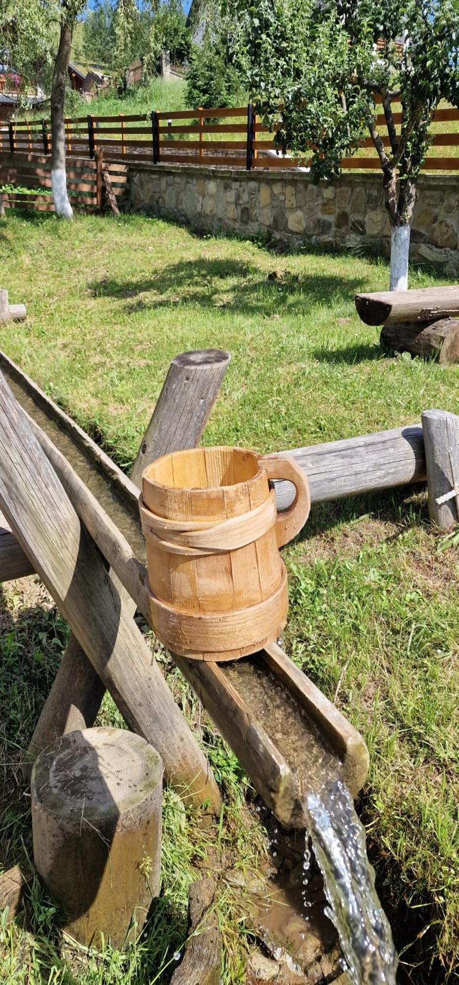 Hotel Casa Agroturistica Tarancuta Din Vatra Moldoviţei Esterno foto